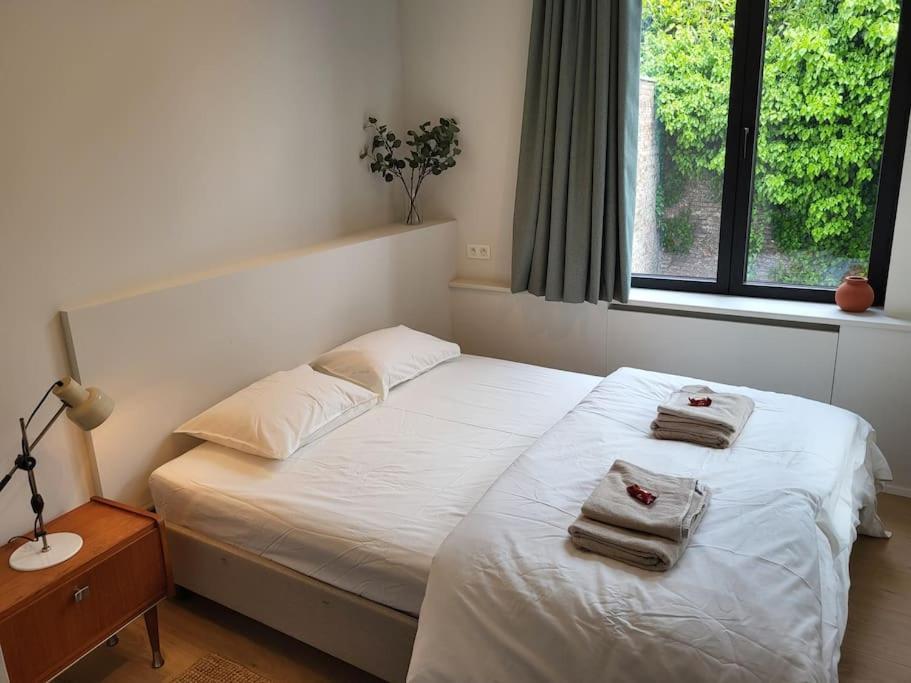 Comfortable Flat Close To Flagey Apartment Brüssel